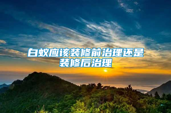 白蟻應該裝修前治理還是裝修后治理