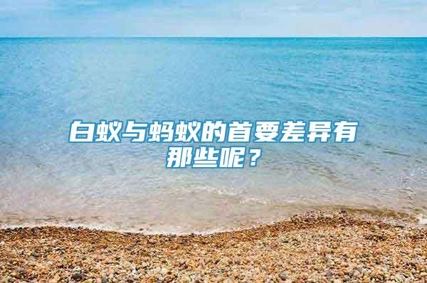 白蟻與螞蟻的首要差異有那些呢？