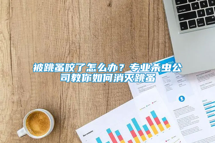 被跳蚤咬了怎么辦？專業(yè)殺蟲公司教你如何消滅跳蚤