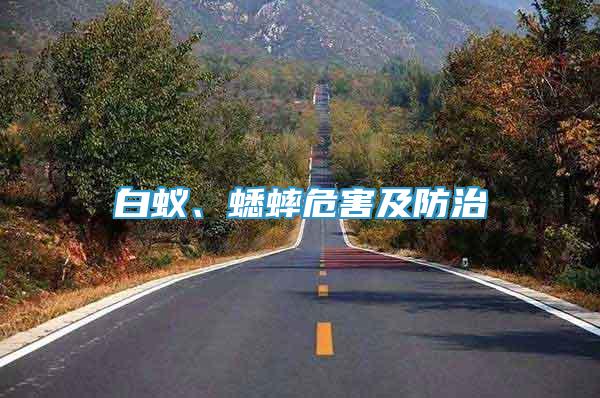 白蟻、蟋蟀危害及防治