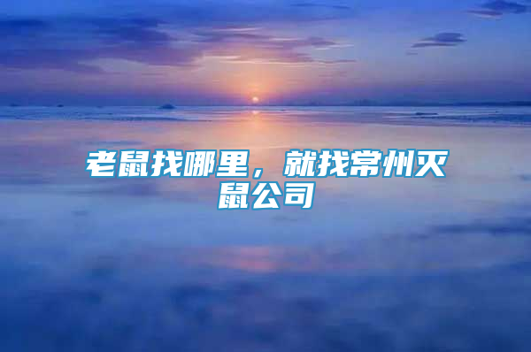 老鼠找哪里，就找常州滅鼠公司