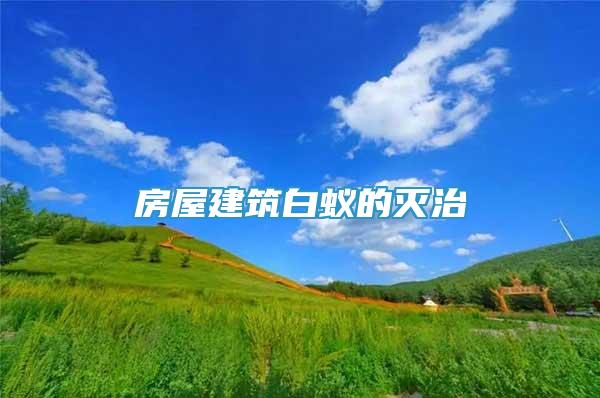 房屋建筑白蟻的滅治