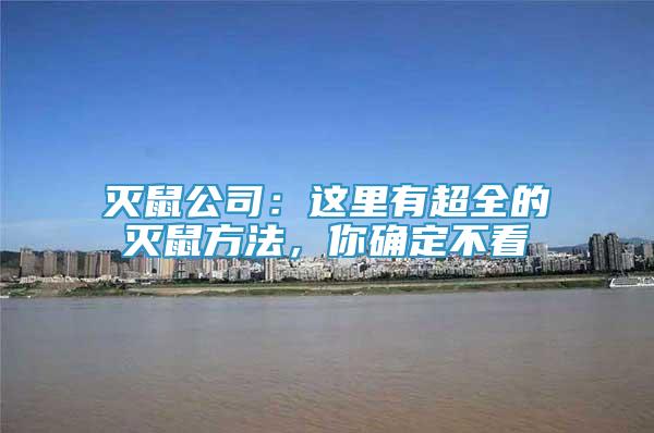 滅鼠公司：這里有超全的滅鼠方法，你確定不看