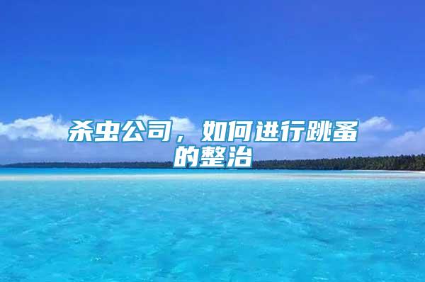殺蟲公司，如何進行跳蚤的整治