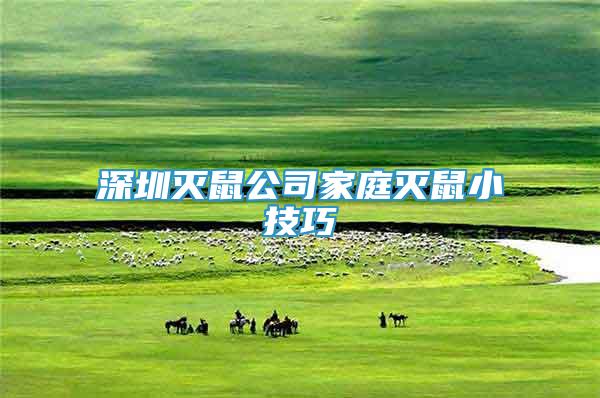 深圳滅鼠公司家庭滅鼠小技巧