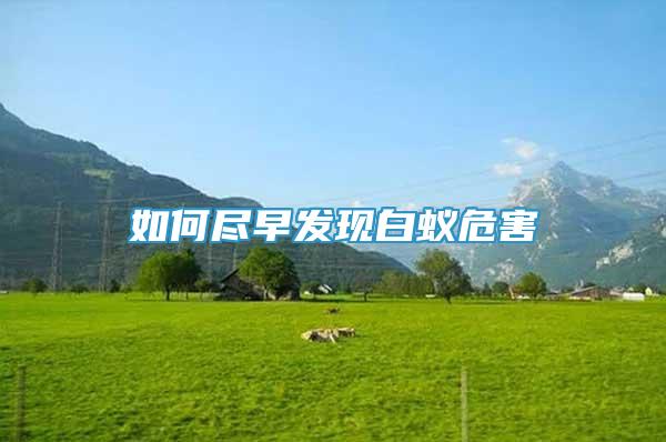 如何盡早發(fā)現(xiàn)白蟻危害