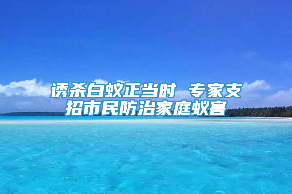 誘殺白蟻正當(dāng)時(shí) 專(zhuān)家支招市民防治家庭蟻害