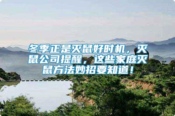 冬季正是滅鼠好時機，滅鼠公司提醒，這些家庭滅鼠方法妙招要知道！