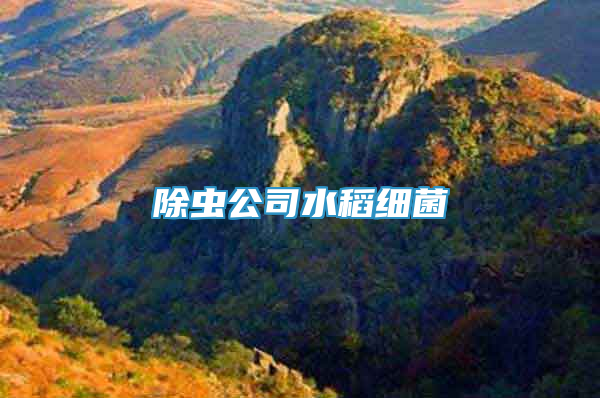 除蟲公司水稻細(xì)菌