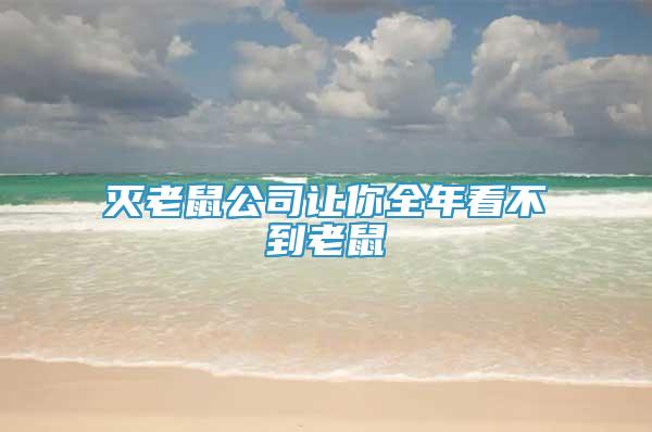 滅老鼠公司讓你全年看不到老鼠