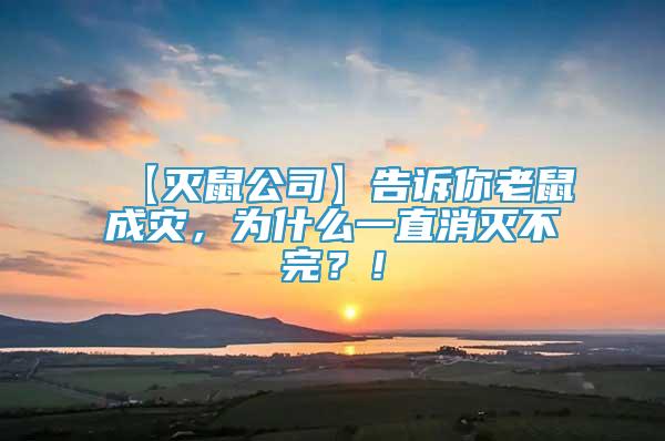【滅鼠公司】告訴你老鼠成災(zāi)，為什么一直消滅不完？！