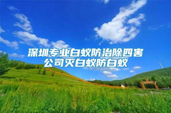 深圳專業(yè)白蟻防治除四害公司滅白蟻防白蟻