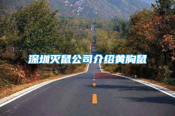 深圳滅鼠公司介紹黃胸鼠