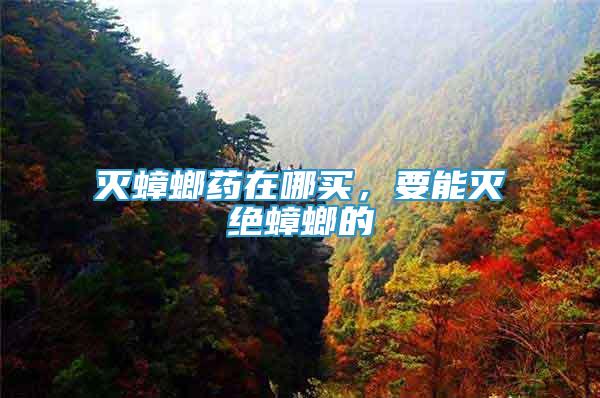 滅蟑螂藥在哪買(mǎi)，要能滅絕蟑螂的