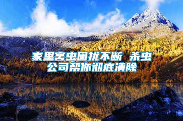 家里害蟲困擾不斷 殺蟲公司幫你徹底清除