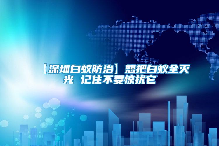 【深圳白蟻防治】想把白蟻全滅光 記住不要驚擾它