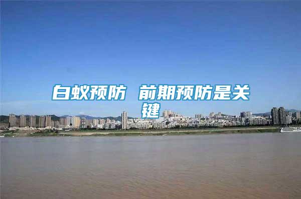 白蟻預防 前期預防是關鍵