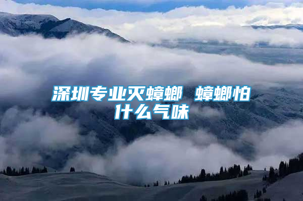 深圳專業(yè)滅蟑螂 蟑螂怕什么氣味