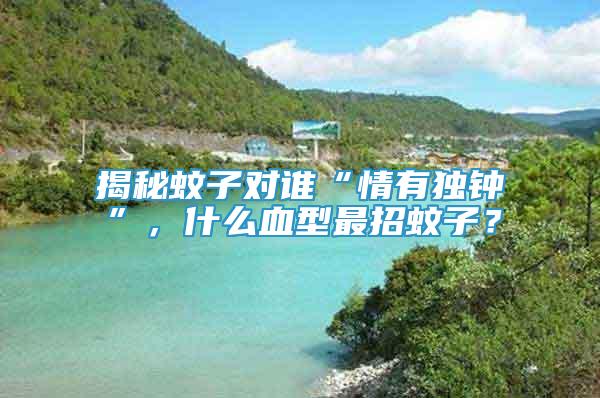 揭秘蚊子對誰“情有獨鐘”，什么血型最招蚊子？