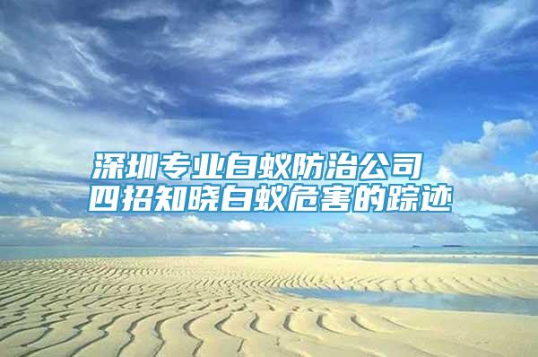 深圳專業(yè)白蟻防治公司 四招知曉白蟻危害的蹤跡
