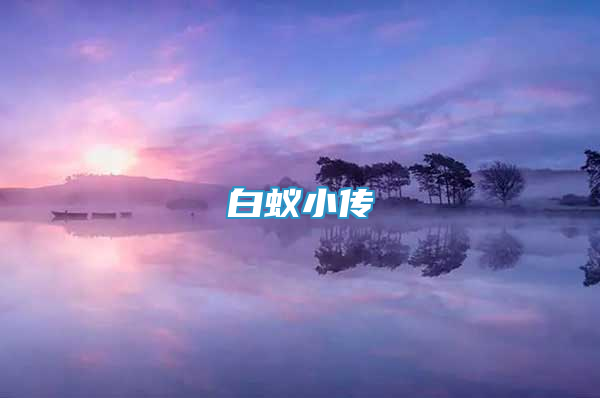 白蟻小傳