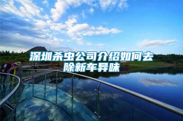 深圳殺蟲公司介紹如何去除新車異味