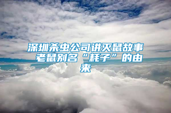 深圳殺蟲公司講滅鼠故事 老鼠別名“耗子”的由來