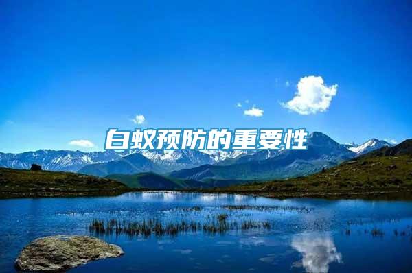 白蟻預(yù)防的重要性