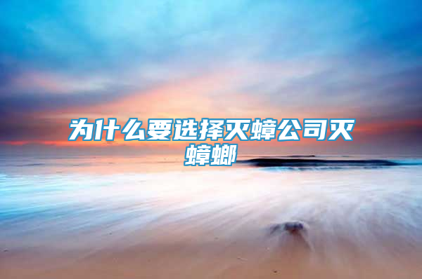 為什么要選擇滅蟑公司滅蟑螂