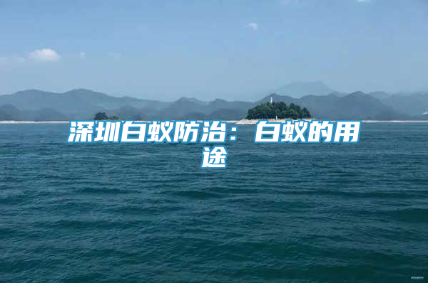 深圳白蟻防治：白蟻的用途