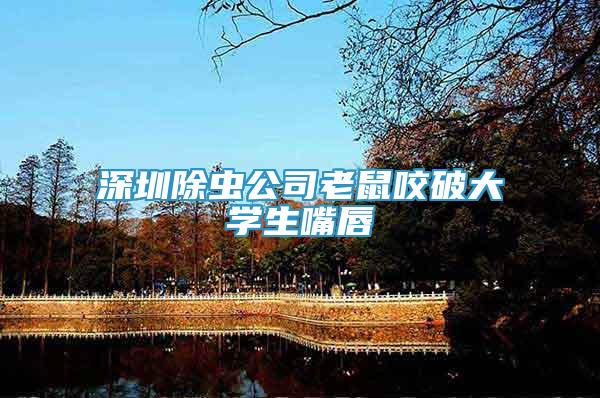 深圳除蟲公司老鼠咬破大學生嘴唇