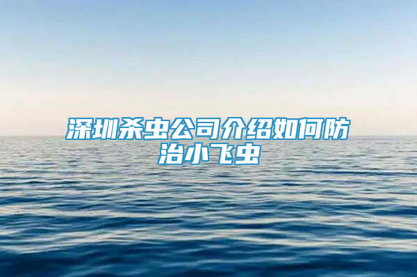 深圳殺蟲公司介紹如何防治小飛蟲