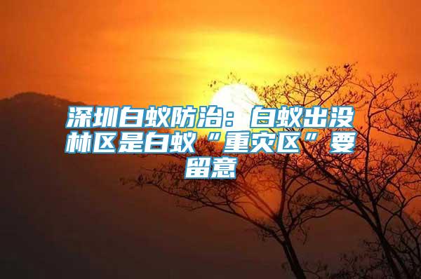 深圳白蟻防治：白蟻出沒(méi)林區(qū)是白蟻“重災(zāi)區(qū)”要留意