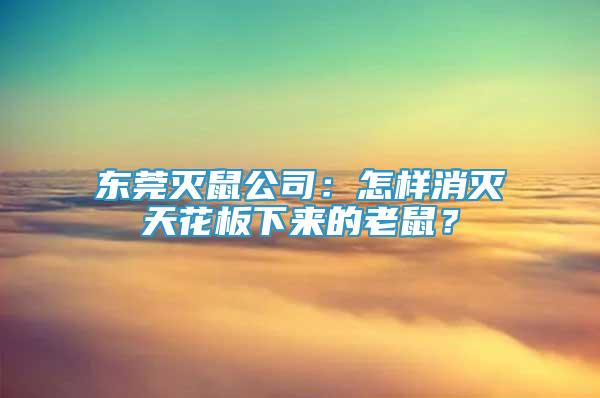 東莞滅鼠公司：怎樣消滅天花板下來的老鼠？
