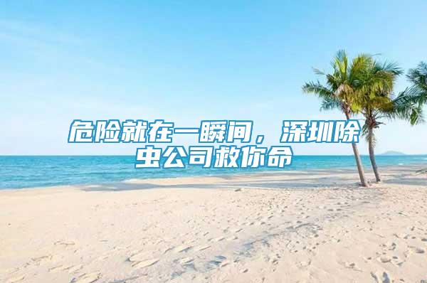 危險(xiǎn)就在一瞬間，深圳除蟲(chóng)公司救你命