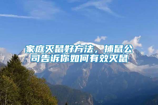 家庭滅鼠好方法，捕鼠公司告訴你如何有效滅鼠