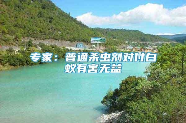 專家：普通殺蟲劑對(duì)付白蟻有害無益