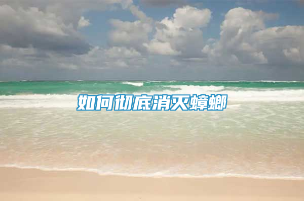如何徹底消滅蟑螂