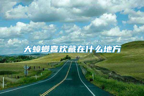 大蟑螂喜歡藏在什么地方