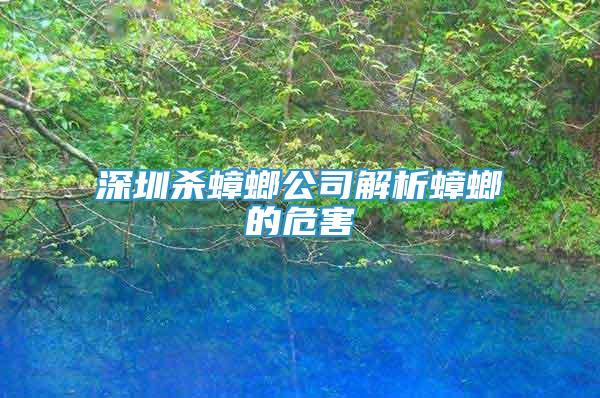 深圳殺蟑螂公司解析蟑螂的危害