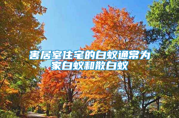 害居室住宅的白蟻通常為家白蟻和散白蟻
