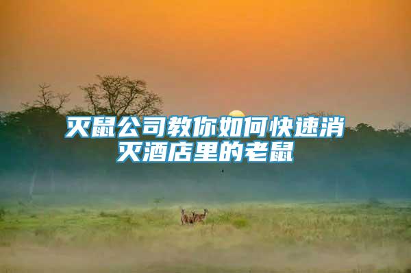 滅鼠公司教你如何快速消滅酒店里的老鼠