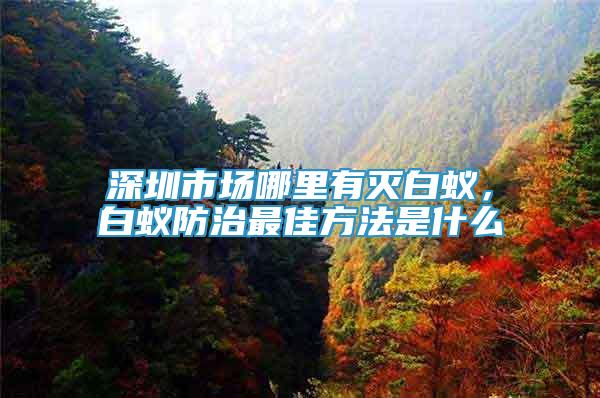 深圳市場哪里有滅白蟻，白蟻防治最佳方法是什么