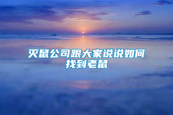 滅鼠公司跟大家說(shuō)說(shuō)如何找到老鼠