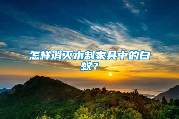 怎樣消滅木制家具中的白蟻？