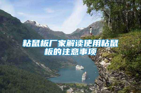 粘鼠板廠家解讀使用粘鼠板的注意事項(xiàng)