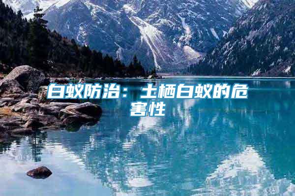 白蟻防治：土棲白蟻的危害性