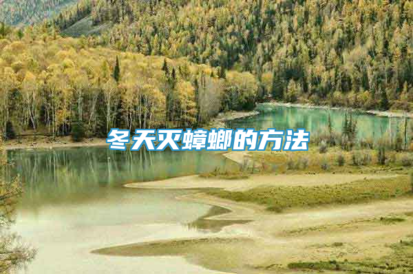 冬天滅蟑螂的方法