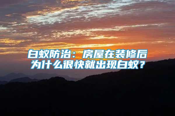 白蟻防治：房屋在裝修后為什么很快就出現(xiàn)白蟻？