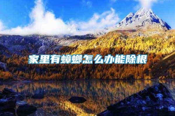 家里有蟑螂怎么辦能除根